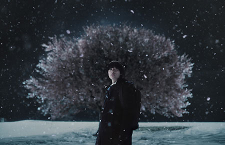 5 Centimeters Per Second